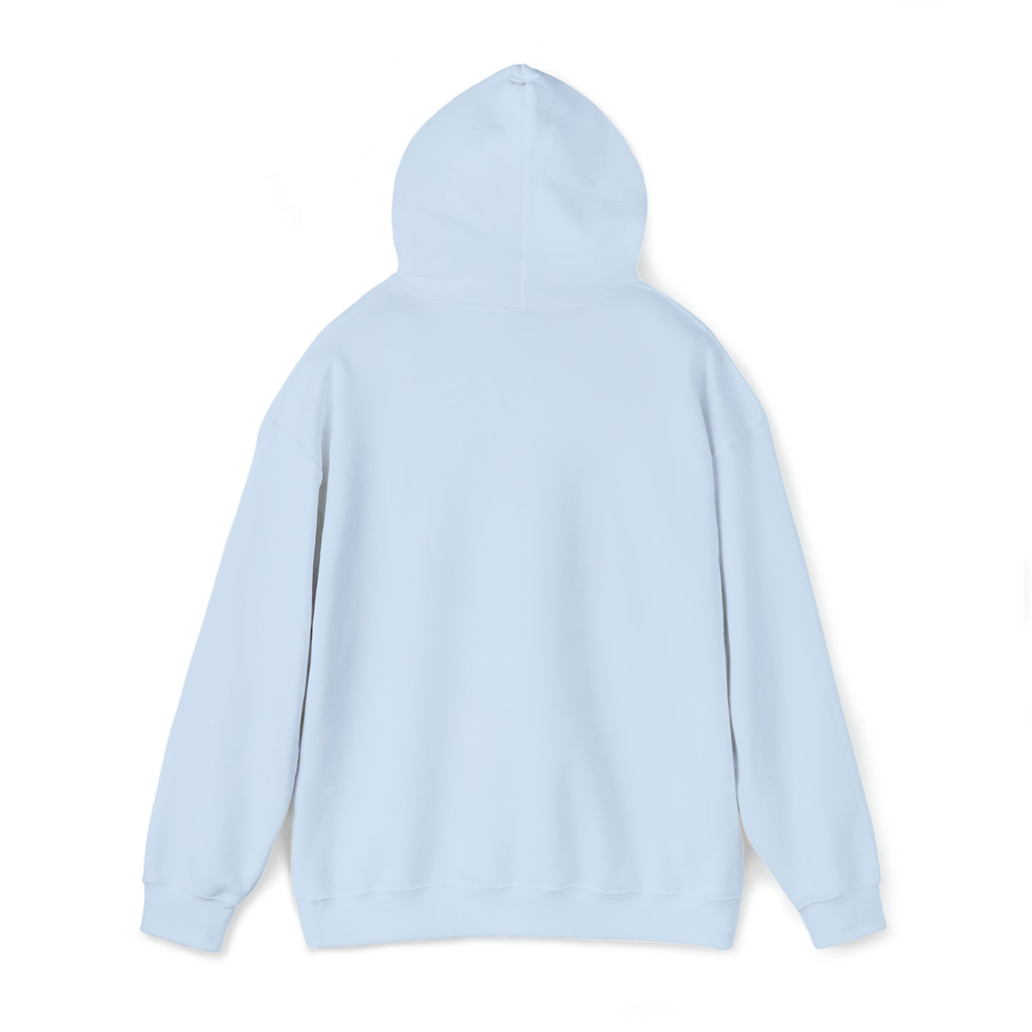 CCC-SLP Pastel Retro Unisex Hooded Sweatshirt for Speech Pathologist